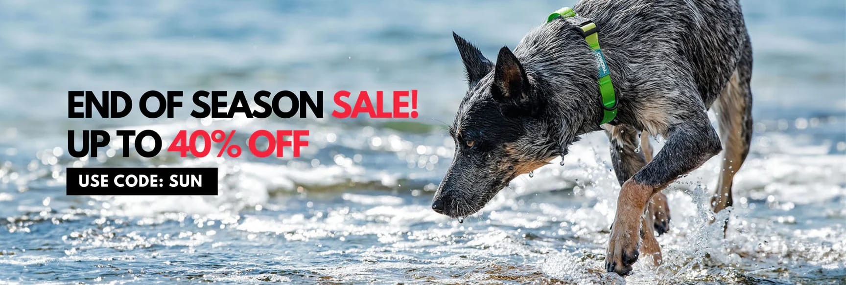 Woof Concept end-of-season sale ad