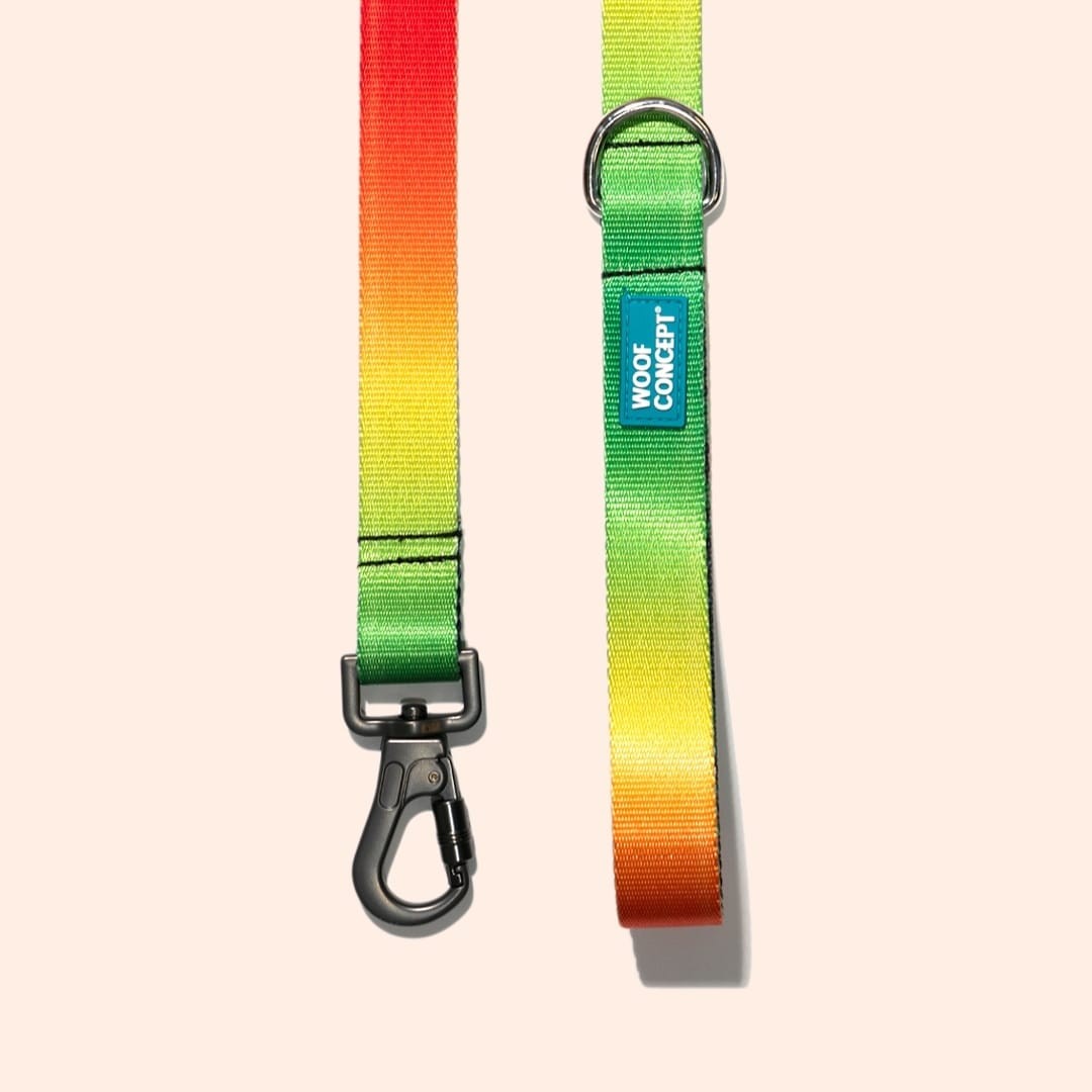Woof Concept gradient leash