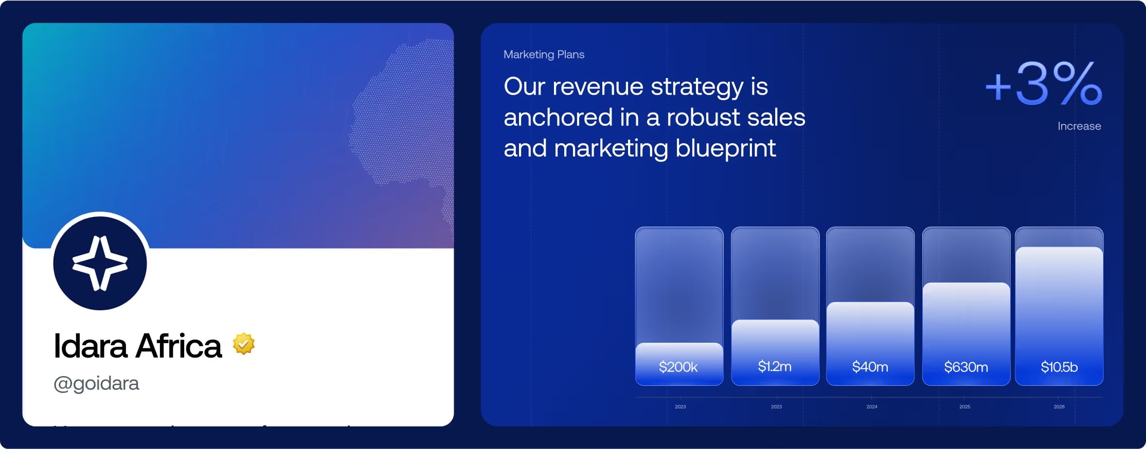 Idara X profile and a revenue strategy post